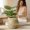 107#A, variant on Woven Seagrass Basket With Tassel Pot Cover With Handles, Boho Decorative Wicker Storage Bin for Indoor Planter Home Decor, 5 Sizes Natural Bulrush Foldable Basket for Living Room Balcony