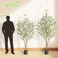 thumbnail image 6 of Lyacmy 5ft Artificial Olive Tree with Realistic Leaves and Natural Trunk, Faux Potted Plants with Black Plastic Pot for Home Office Decor, 6 of 9