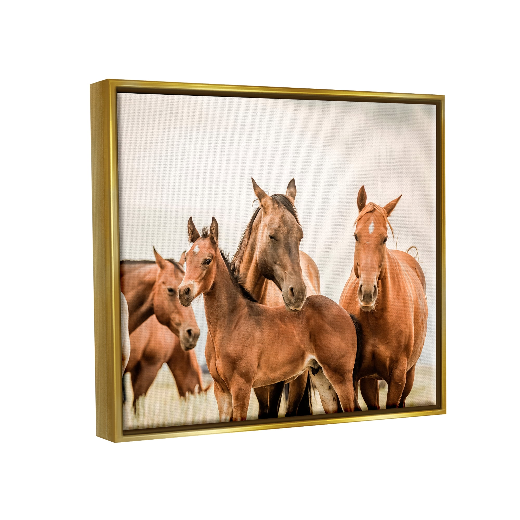 Stupell Industries Horse & Foals Photography Animals & Insects Photography Gold Floater Framed Canvas Art Print Wall Art, 21 x 17