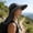 Dark Gray, variant on Outdoor Wide Brim Sun Hat,Windproof Fisherman Hat, Breathable Foldable Leisure Sunscreen Hat,Double Layer Face Shield,for Summer Travel Beach Cycling Hiking