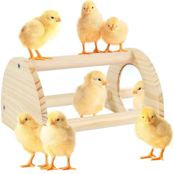 Chicken Perch with Mirror, Chicken Toys for Coop and Brooder, Training Perch Toys