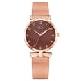 thumbnail image 2 of Resicozy Rose Gold Watch for Women Mesh Strap Fashion CasualQuartz Ladies Watch Brown, 2 of 3
