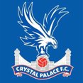 thumbnail image 1 of Cuadros Decorativos 5D DIY diamante pintura Crystal Palace fútbol Club Kits completo redondo taladro regalo Likrtyny embutido en tela, 1 of 8