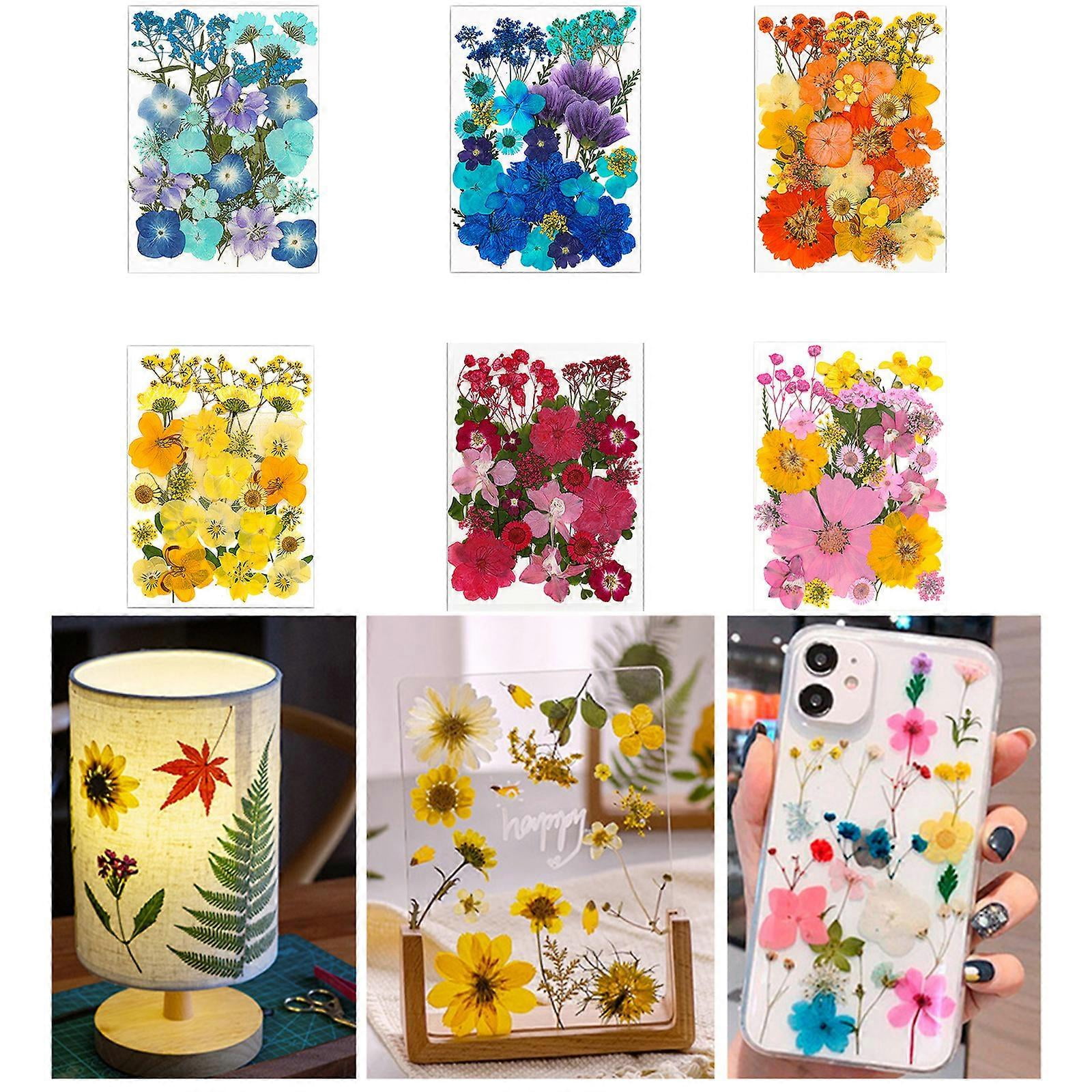 30Pcs Pressed Flower Art Craft Embellishment Supplies For Handmade Bookmarks Candle Jewelry Making Scrapbooking