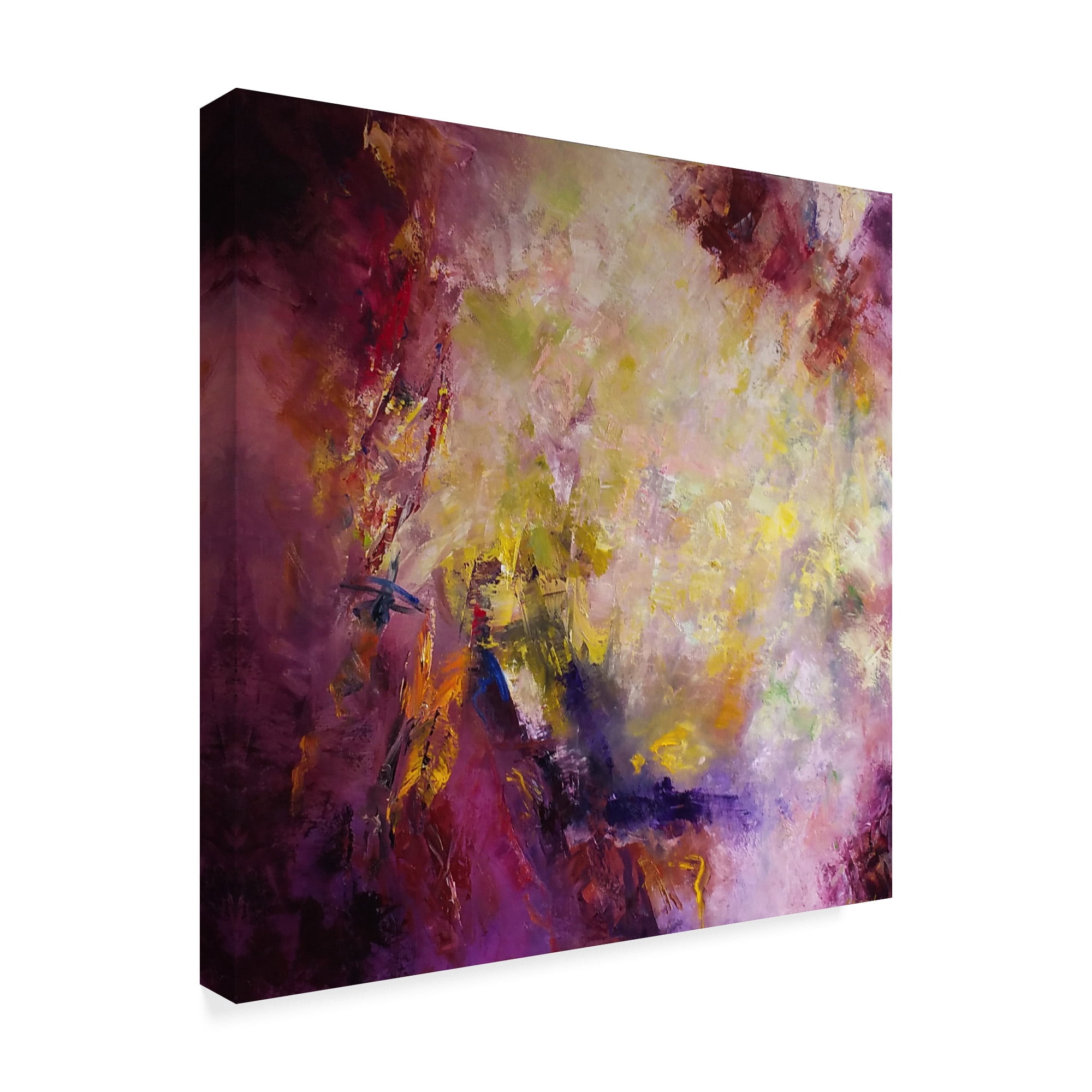 Trademark Fine Art 'Once Upon a Time Abstract' Canvas Art by Aleta Pippin