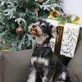 thumbnail image 4 of Collar para perro Aring Pet Red Plaid, ajustable, algodón, tamaño mediano, 4 of 5