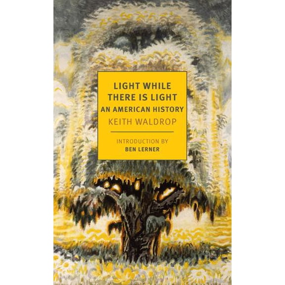 Light While There is Light: An American History