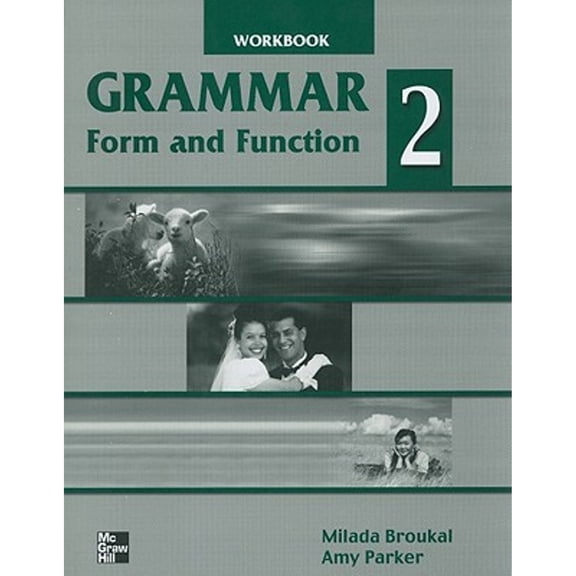 Pre-Owned Grammar Form and Function, Level 2 (Paperback) 0070082324 9780070082328