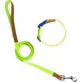 thumbnail image 1 of Dog Collar Leash Slip Walking Leash Collar Rope Long Pet Strong Training Walking Swimming Hiking, 1 of 8