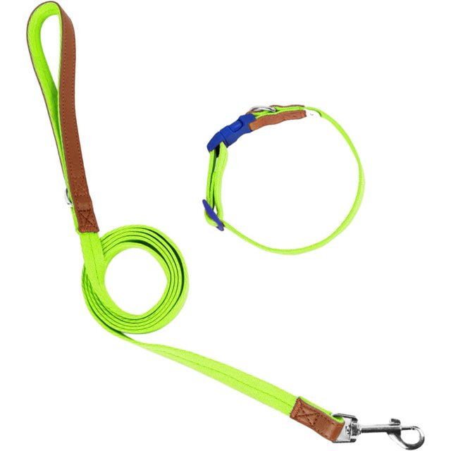 Dog Collar Leash Slip Walking Leash Collar Rope Long Pet Strong Training Walking Swimming Hiking