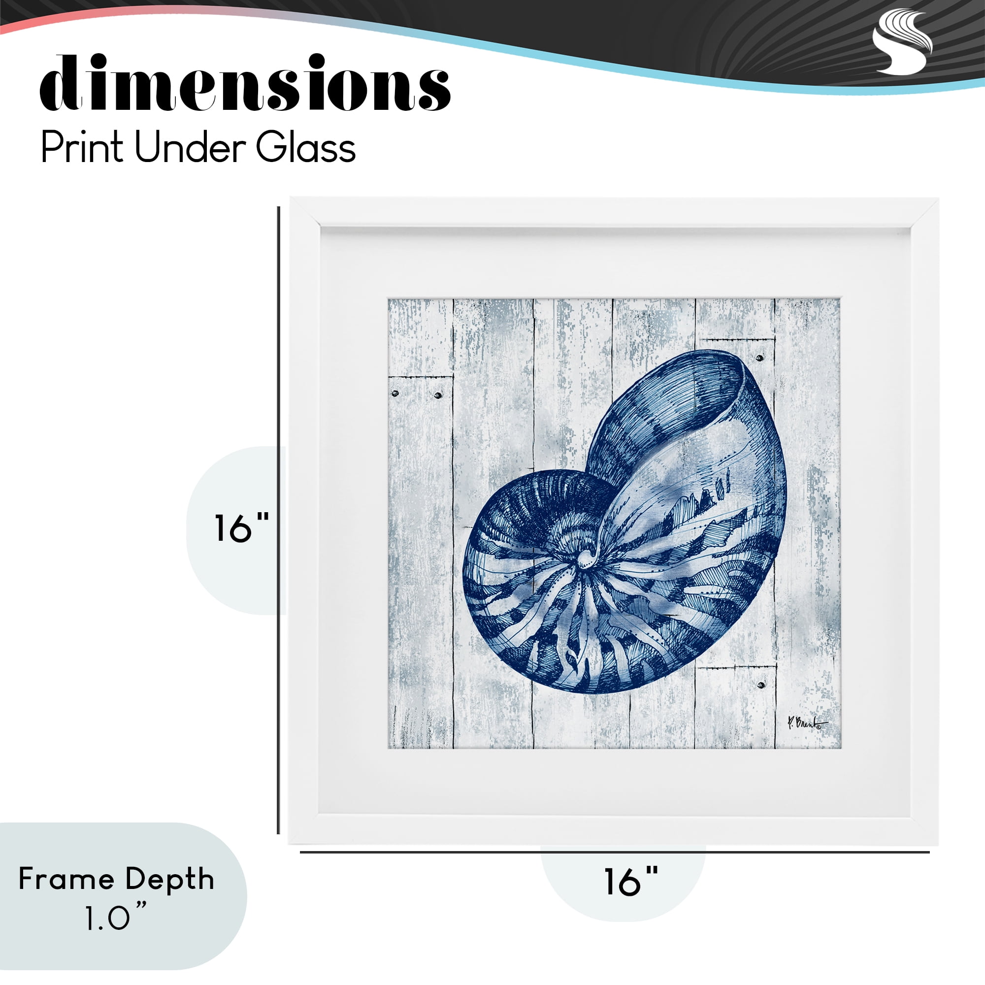 Stupell Industries Coastal Timberland Nautilus White Framed Print Under Glass, design by Paul Brent