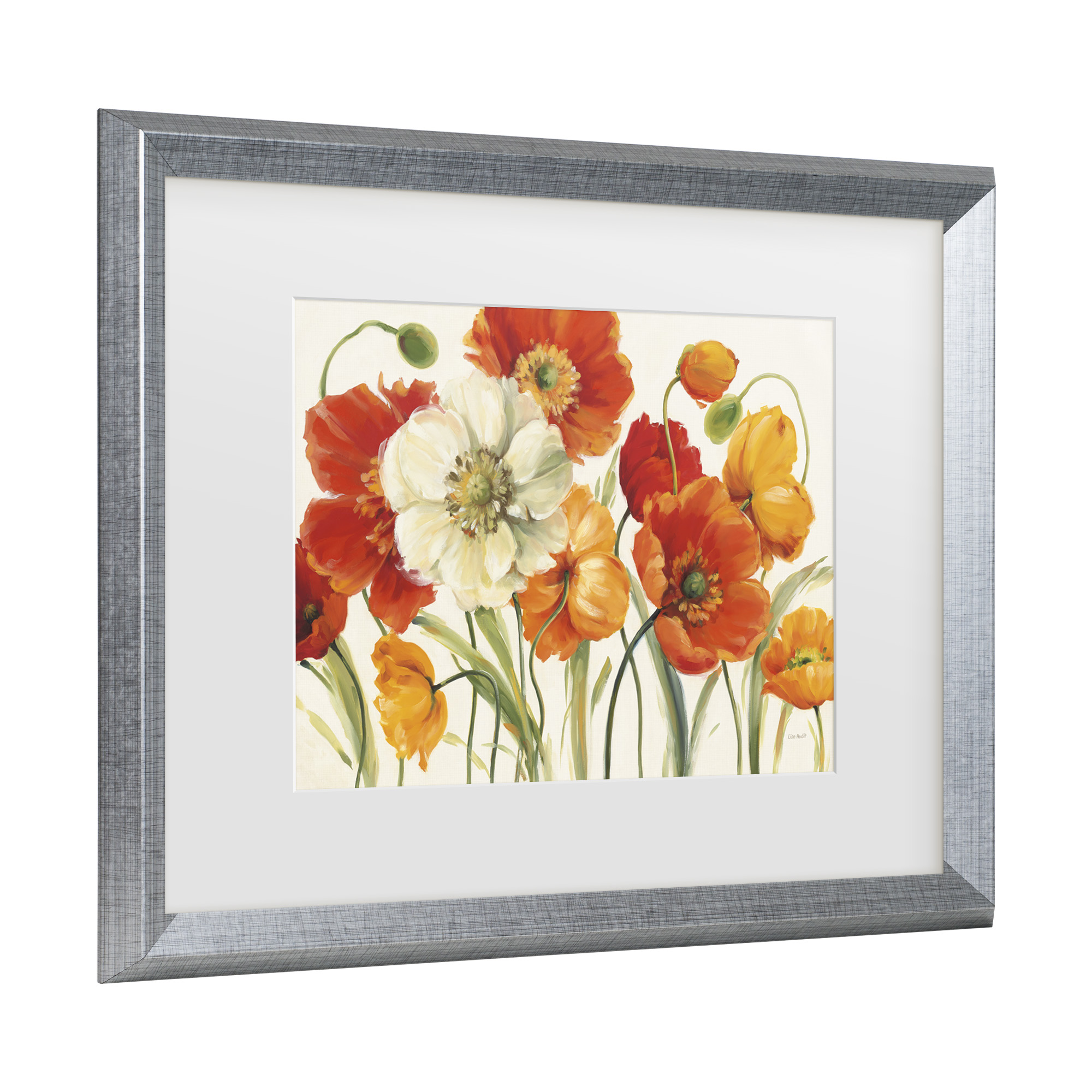 Trademark Fine Art 'Poppies Melody I' Matted Framed Art by Lisa Audit