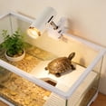 View all media