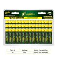 thumbnail image 2 of GoGreen Power 24049 - Alcalin AAA 48 Paquets, 2 of 6