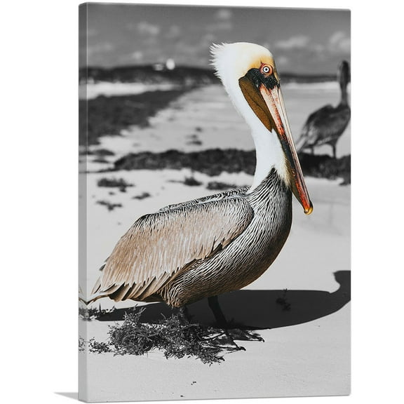 ARTCANVAS Pelican On The Sea Beach Canvas Art Print - Size: 26" x 18" (0.75" Deep)