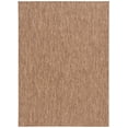 thumbnail image 2 of SAFAVIEH Beach House Jacinth Solid Indoor/Outdoor Area Rug, Brown, 9' x 12', 2 of 16