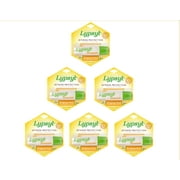 Lypsyl Intense Protection Original Mint, Lip Balm 0.10 oz (Pack of 6)