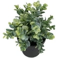 thumbnail image 5 of Northlight 10" Green Artificial Melia Azedarach Plant in Black Pot, 5 of 5