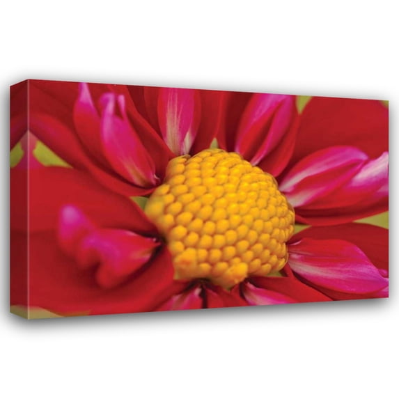 Dana Styber 44x31 Gallery Wrapped Canvas Wall Art Titled - Starburst II