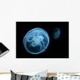 thumbnail image 1 of Moon Jellyfish Wall Mural by Wallmonkeys Peel and Stick Graphic (24 in W x 17 in H) WM10745, 1 of 4