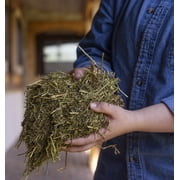 Triple Crown Stress Free Forage for Horses, Calming Equine Supplement, Stress Relief Horse Supplement, 40 lbs