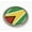Semi-Flexible Aluminum Bezel, variant on Flag of Guyana | 3D Domed CAR Emblem Badge Sticker Semi-Flexible Aluminum Round Bezel