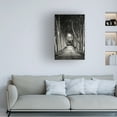 thumbnail image 2 of Sandra 'Path' Canvas Art, 2 of 4