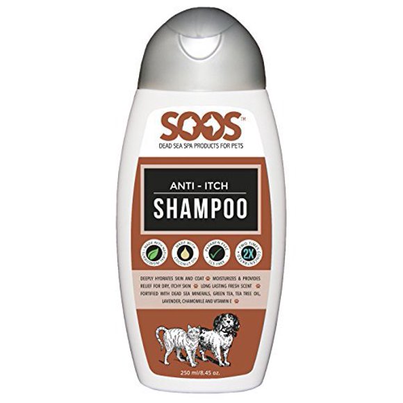 Anti Itch Shampoo Dogs