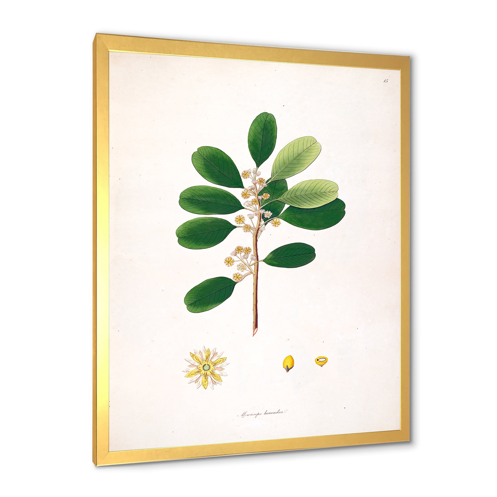 Designart 'Ancient London Plants IX' Farmhouse Framed Art Print
