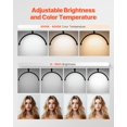 thumbnail image 4 of Nail Desk Light 20 W Clip on Half Moon Lash Light with Phone Holder Arched LED, 4 of 7