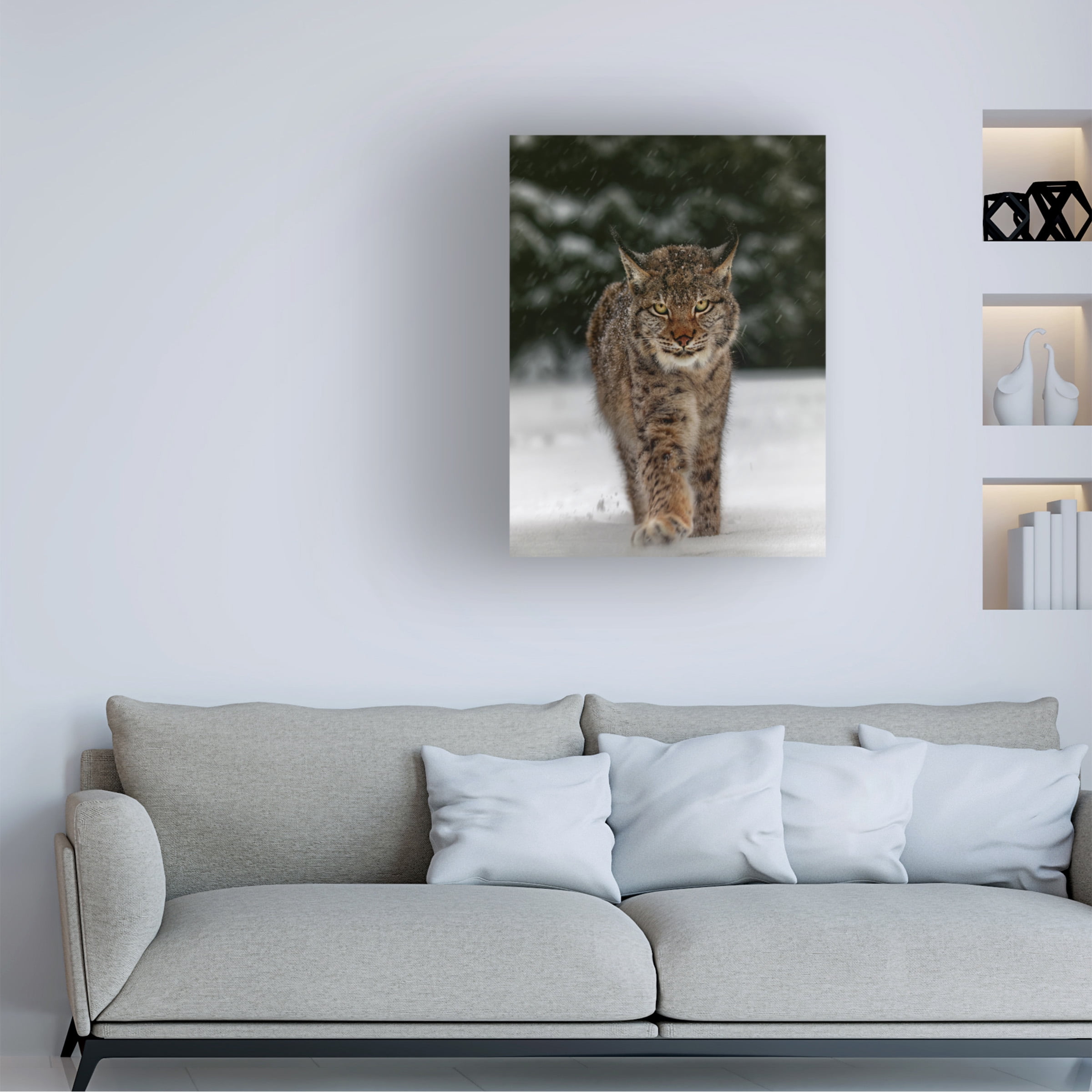 Trademark Fine Art Michaela Firesova Meet The Lynx Canvas Wall Art