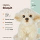 thumbnail image 2 of Perro de peluche de la colección Bearington, 33 cm, color blanco, 2 of 6