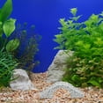 thumbnail image 5 of unbranded 2Ud Adorno De Para Acuario Con Para Hogar Y Oficina, 5 of 5