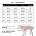 thumbnail image 2 of Impermeable para perros Chaqueta con capucha Visera transparente Capa impermeable para perros pequeños medianos grandes,Irfora Irfora Impermeable, 2 of 7