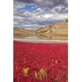 thumbnail image 2 of Paulson, Don 17x24 White Modern Wood Framed Museum Art Print Titled - Canada, Kamloops, Lac Du Bois Grasslands Park, 2 of 4