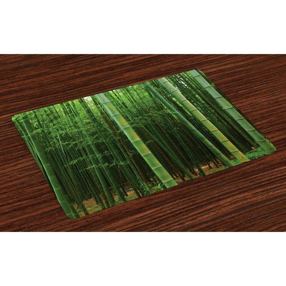 Bamboo Placemats Set of 4 Picture of a Bamboo Forest Exotic Fresh