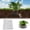 White1, variant on 5pcs Gopher and Vole Wire Baskets Protect Plants, Trees, Flowers and Bulbs 35x35cm