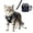 Navy Blue, variant on Escape Proof Cat Harness with Retractable Leash – Reflective Vest Harness for Night Safety, Step-in Adjustable Design Fits Small Medium Large Cats