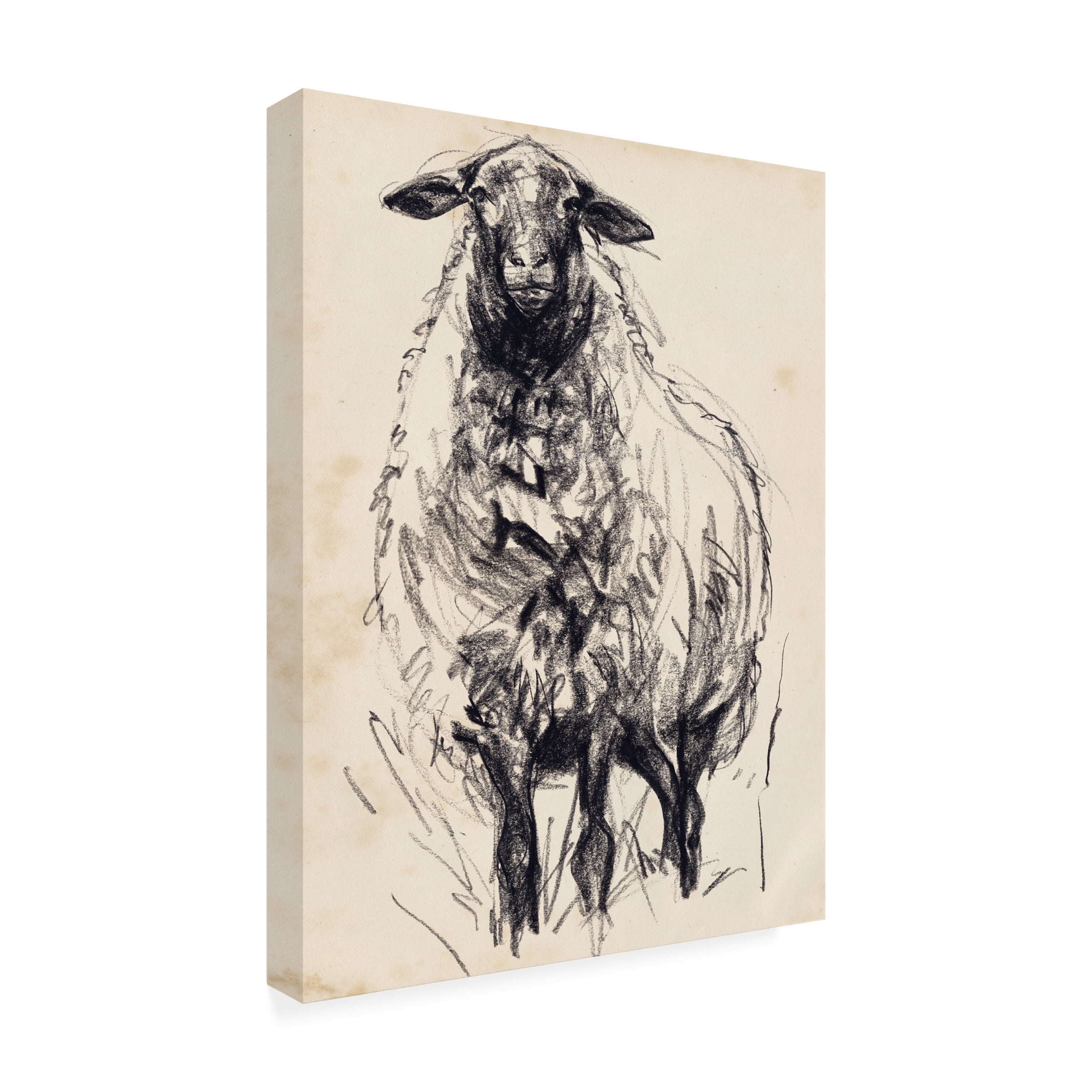 Jennifer Paxton Parker 'Charcoal Sheep I' Canvas Art