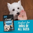 thumbnail image 3 of Cesar Softies Grilled Chicken Flavor Chewy Soft Dog Treats,, 6.7 oz Pouch, 75 Treats, 3 of 10