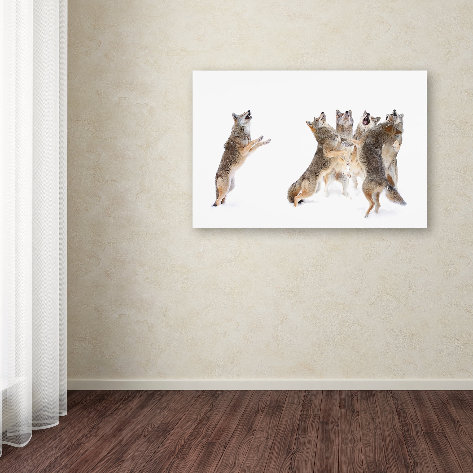 Trademark Fine Art 'The Choir Coyotes' Canvas Art by Jim Cumming