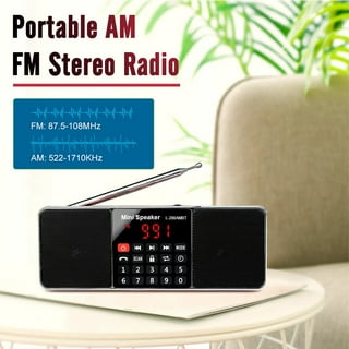 RADIO FM CON ALTAVOZ BLUETOOTH + SD + USB BT-2008