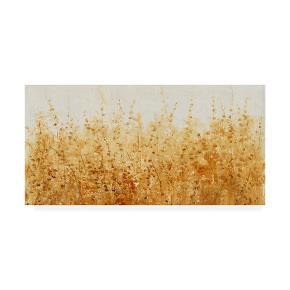 Trademark Fine Art 'Ochre Fields I' Canvas Art by Tim OToole
