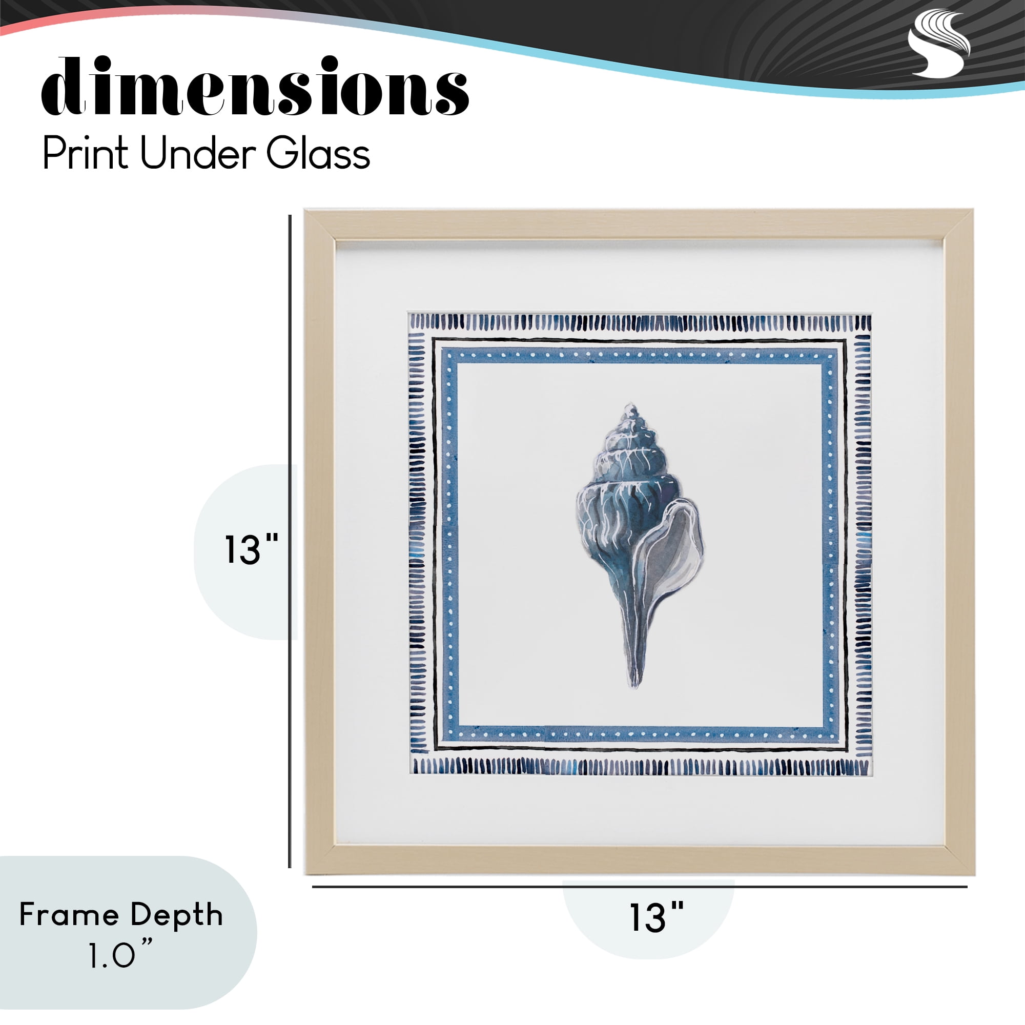 Stupell Industries Soft Blue Conch Shell Birch Framed Print Under Glass, design by Lanie Loreth