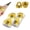400pcs, variant on Nail Forms for Gel Builder Self Adhesive NailExtension Stickers for Poly nail Gel and Acrylic with Tip Sculpting NailForms Nail Art for Home & Salon (Black 100)