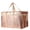 Gold, variant on Insulated Food Delivery Bag for Pizza Delivery, Grocery Cooler Bag, Catering Supplies for Rideshare, Thermal Bags for Cold and Hot Food Carrier