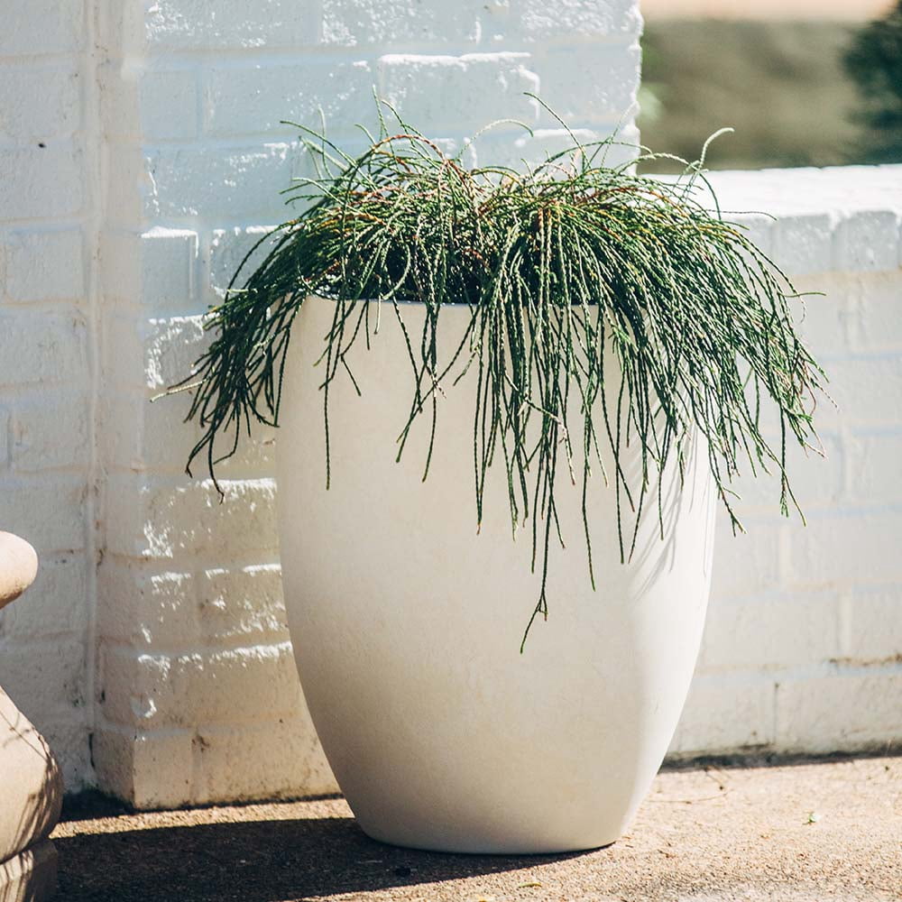 Ash & Ember 18" Laurel Satin Ivory Planter, Lightweight Fiberstone Composite with Weather-Resistant Finish