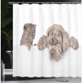 thumbnail image 3 of Ambesonne Kitty Shower Curtain, Cat and Dog on Plain Back, 69"Wx70"L, Sepia and Pale Chocolate, 3 of 4