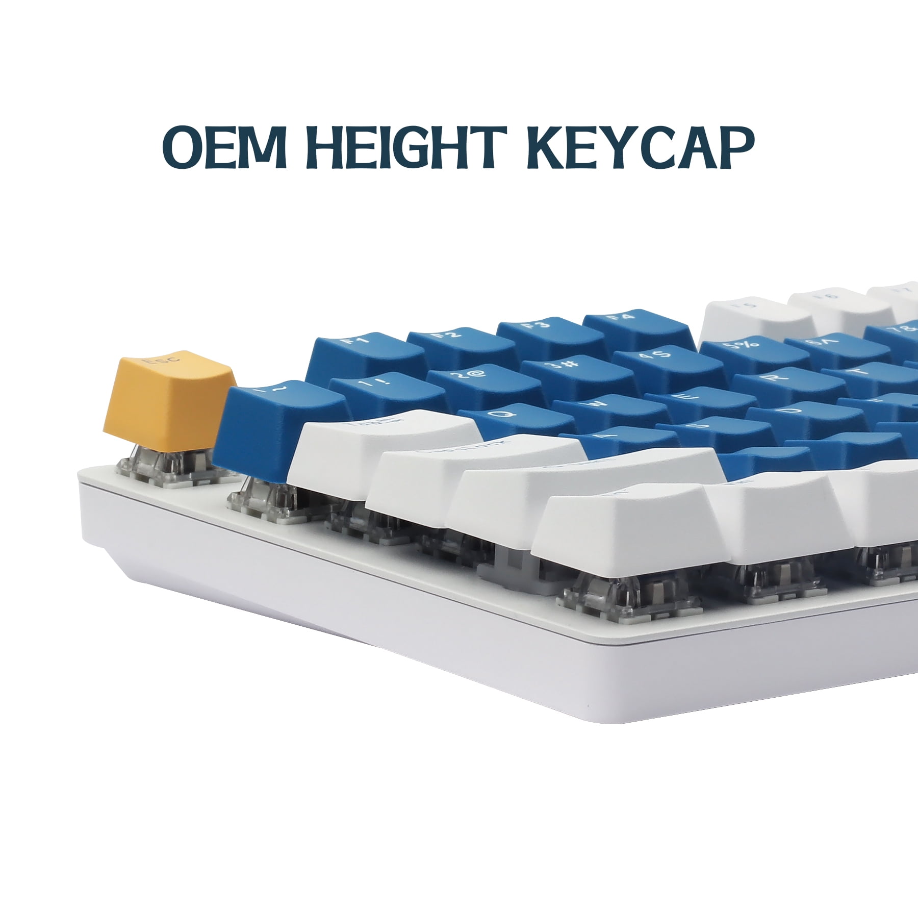 Hyssop PBT Keycaps OEM Profile Doubleshot Keycaps Cherry MX for 61 64 84 87 108 MX Switches Mechanical Keyboard