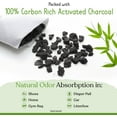 thumbnail image 2 of Charcoal Shoe Deodorizers - Activated Natural Bamboo Air Purifying Bag Insert for Sneakers Oder Eliminator Mini Bags -Absorber/Freshener for Gym Bag,Drawer,Closet,Car,Home, Cat Litter, 2 of 4